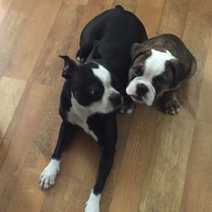 Meet your Posher, Anna